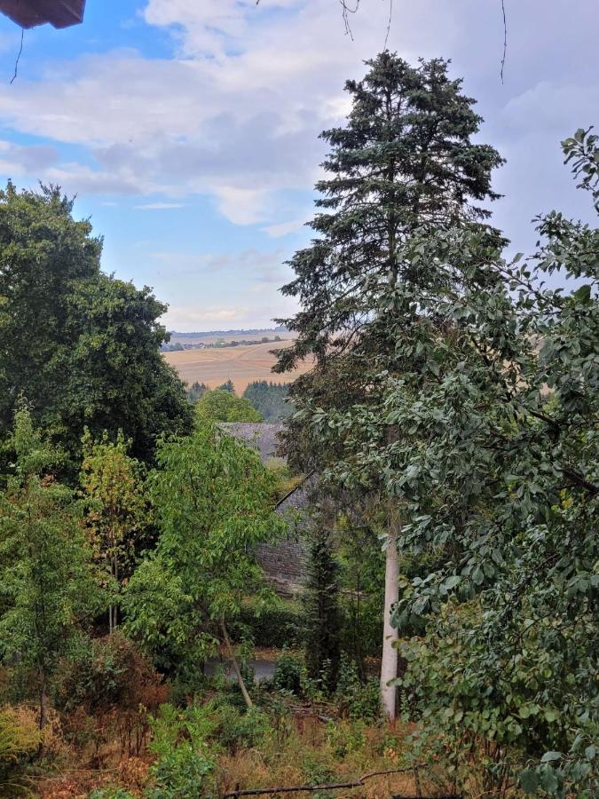 Appartement Ruheidylle Weitblick à Kleinich Extérieur photo