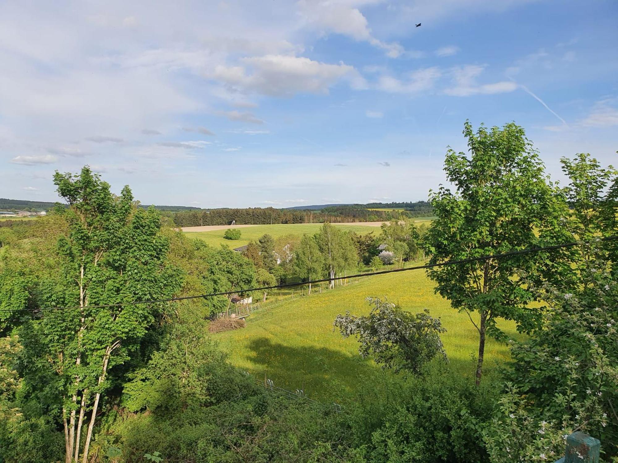 Appartement Ruheidylle Weitblick à Kleinich Extérieur photo